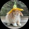 glamorousbunny